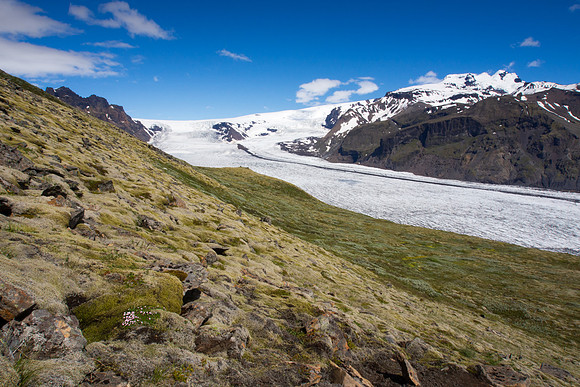 Iceland 2014