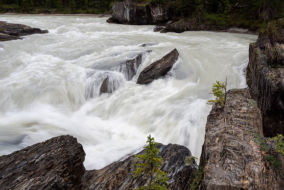 Banff National Park 2025