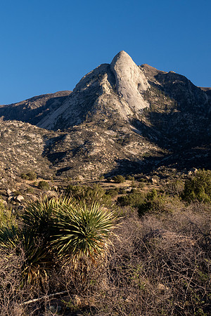 New Mexico 2025