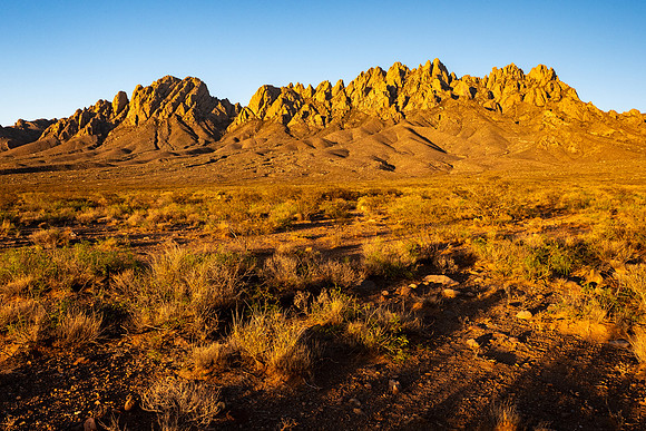 New Mexico 2025