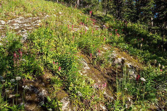 Banff National Park 2025