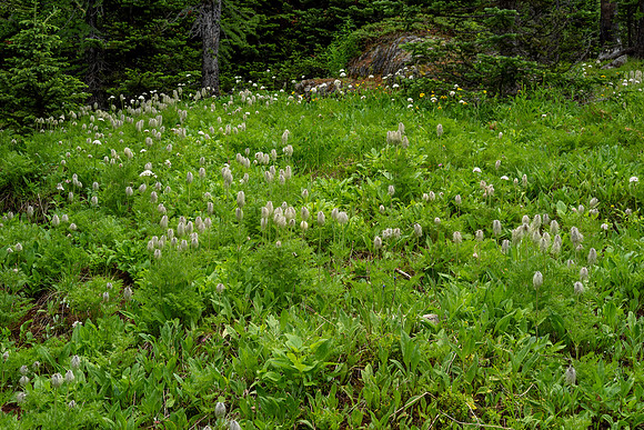 Banff National Park 2025