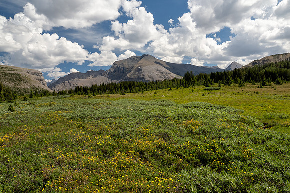 Banff National Park 2025