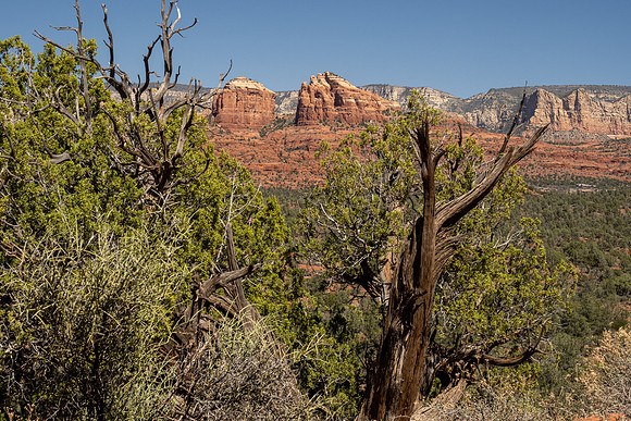 Arizona 2021