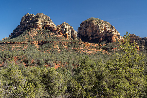 Arizona 2021