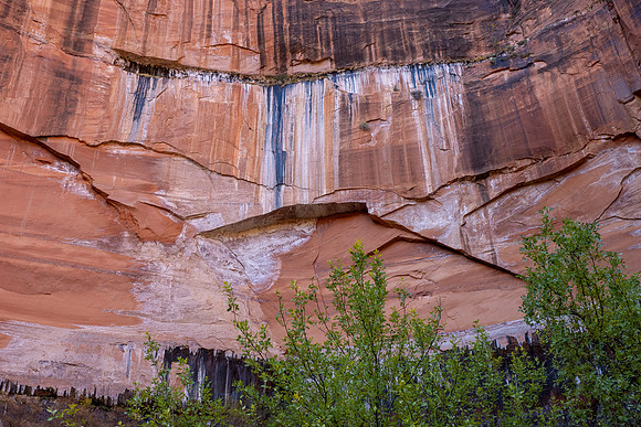 Zion National Park 2024