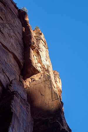 Zion National Park 2024