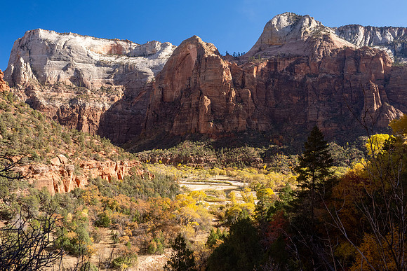 Zion National Park 2024