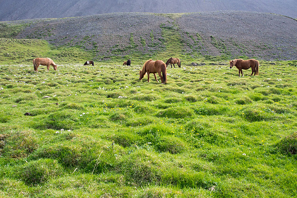 Iceland 2014