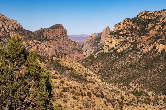 Arizona 2025