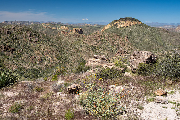 Arizona 2020