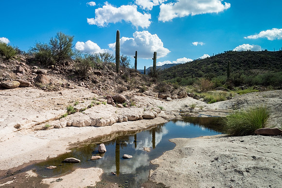 Arizona 2018