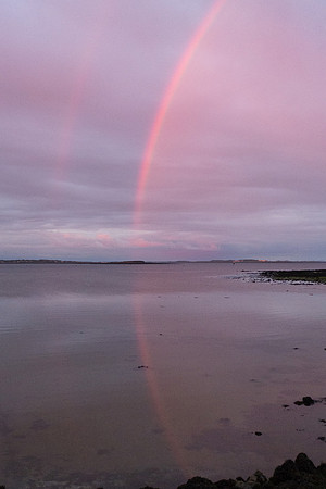 Ireland 2014 - Galway