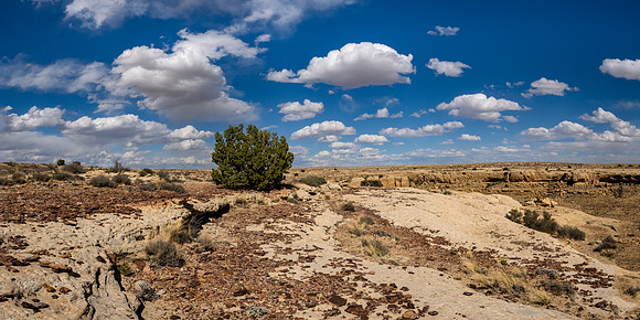 New Mexico 2025