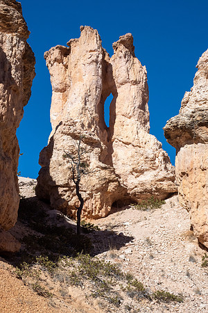 Bryce Canyon National Park 2022