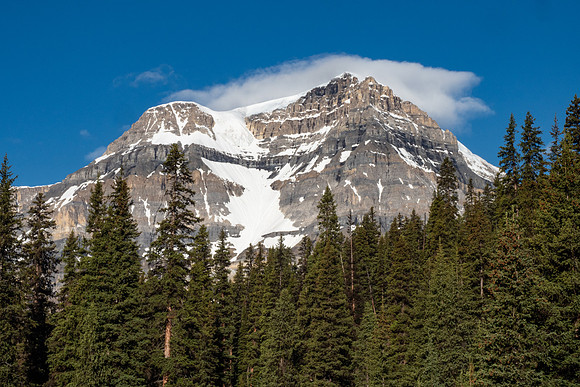 Pacific NW 2019