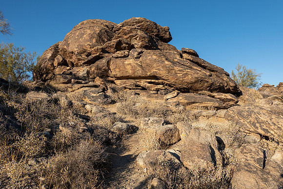 Arizona 2019