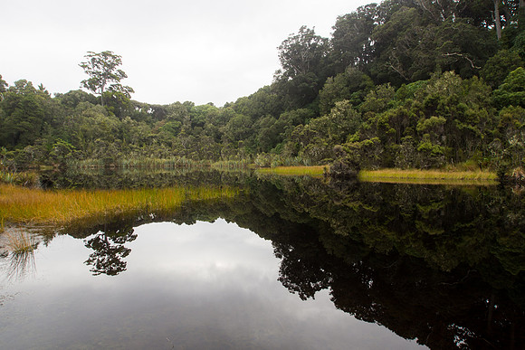New Zealand 2013