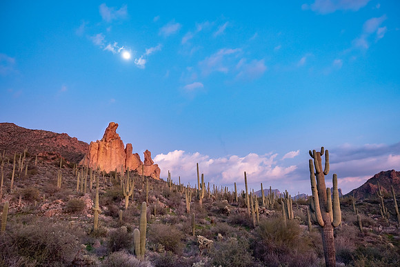 Arizona 2019