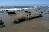 Oregon 2011