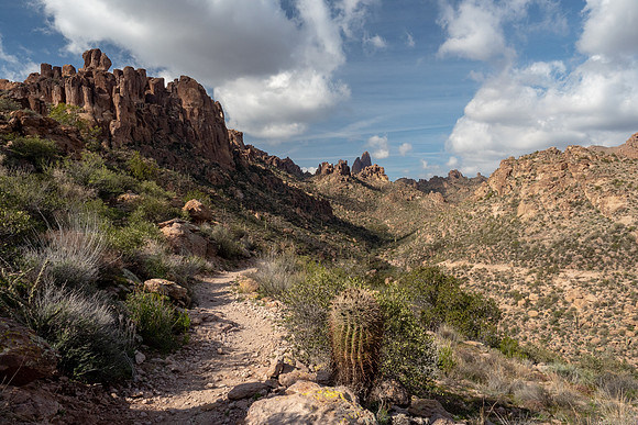 Arizona 2019