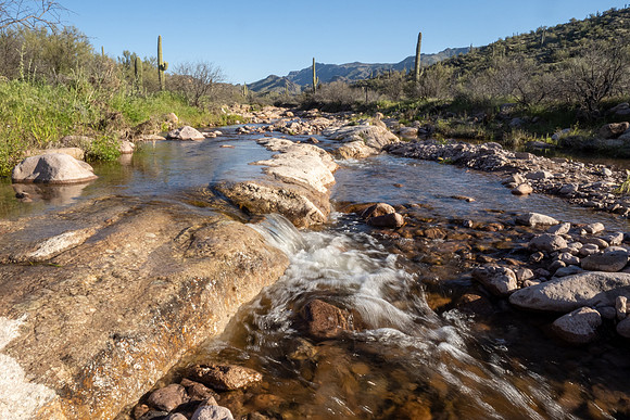 Arizona 2020