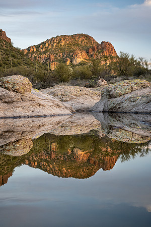 Arizona 2020