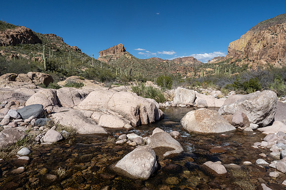 Arizona 2020