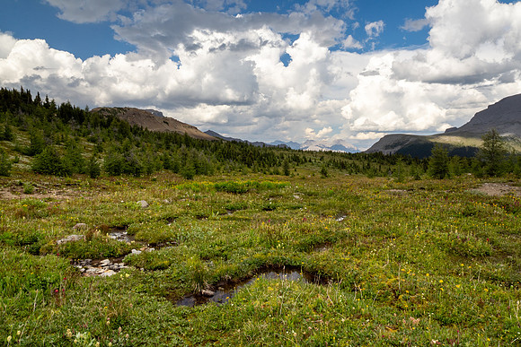 Banff National Park 2025