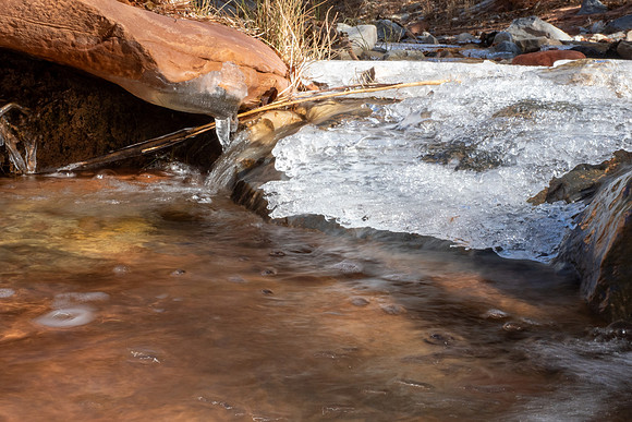 Zion National Park 2024