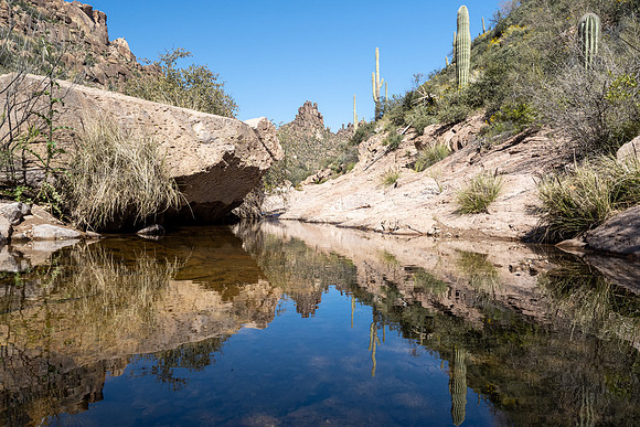 Arizona 2020