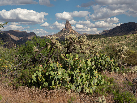 Arizona 2019