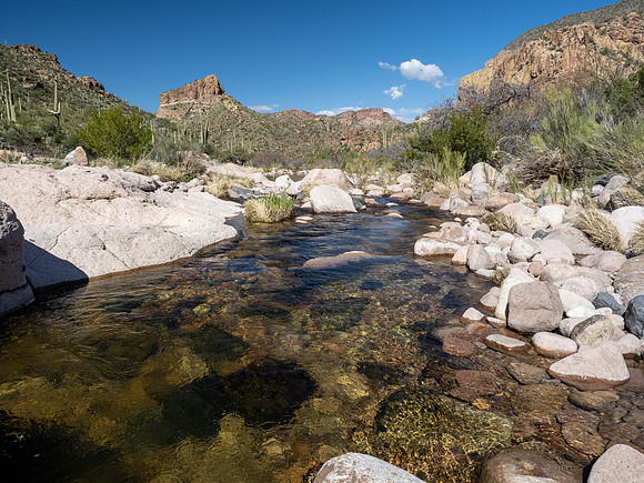 Arizona 2020