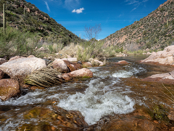 Arizona 2019