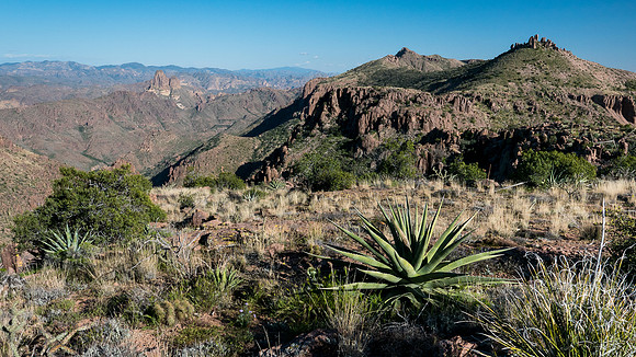 Arizona 2015 - Superstitions Ridge Hike (Mar)