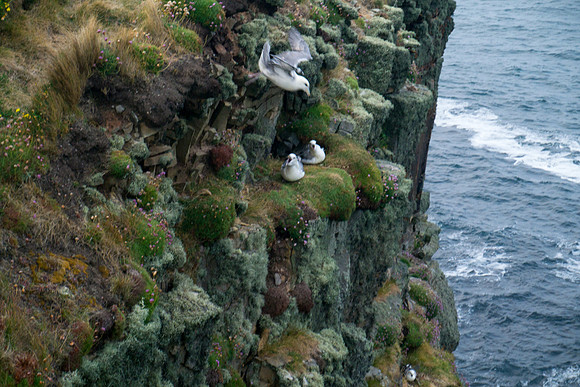 Scotland 2012