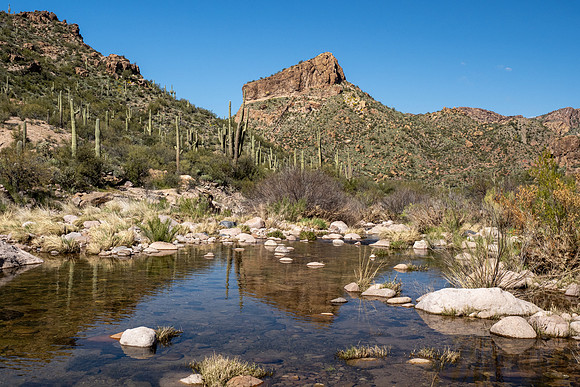 Arizona 2020