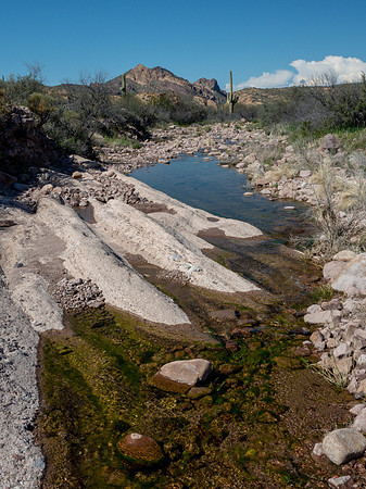 Arizona 2019