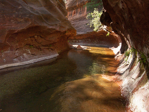 Arizona 2005