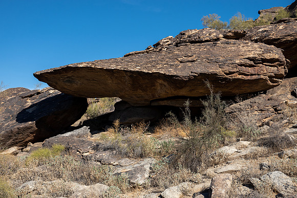 Arizona 2021