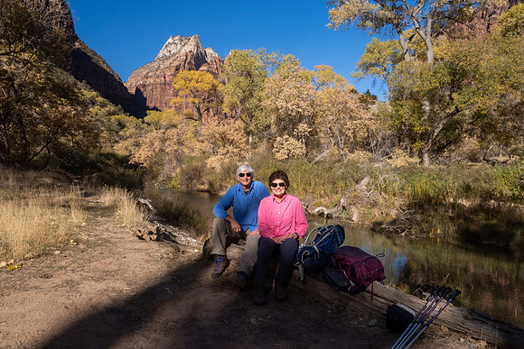 Zion National Park 2024