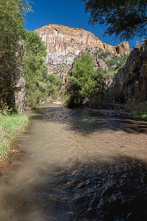 Arizona 2022