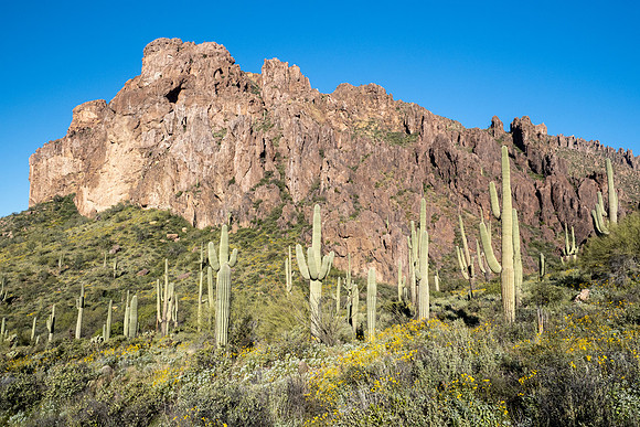 Arizona 2020