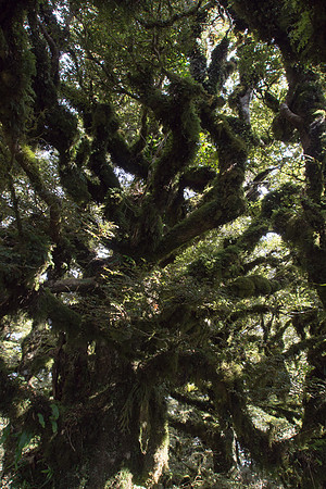 New Zealand 2013