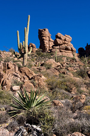 Arizona 2013 - Superstitions Hike Bluff Spring Loop