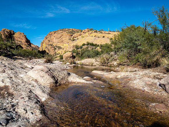 Arizona 2019