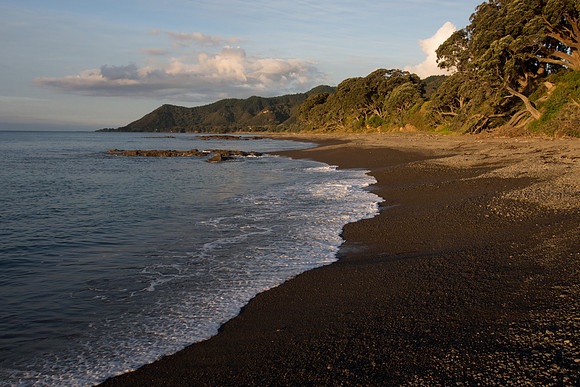 New Zealand 2013