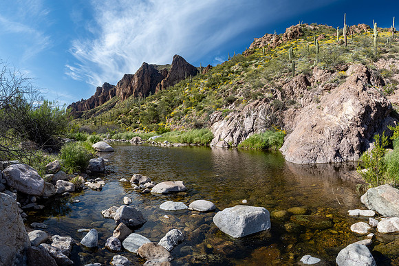 Arizona 2020