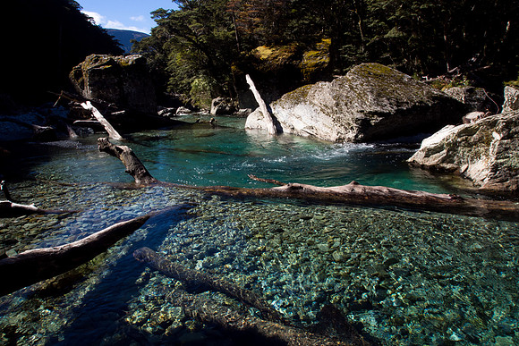 New Zealand 2013