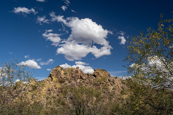 Arizona 2021